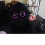 Beanie boo sqaud