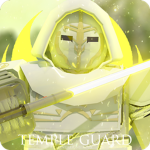 The Gray Jedi Temple Guard