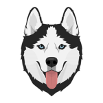 Silver's Huskies