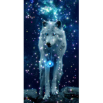 The wolf time