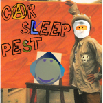 car sleep pest