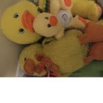 Ducks r cool group