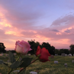 Sky Sunset