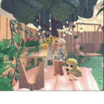Stars Giveaways!