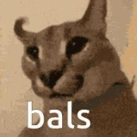 epik cat group