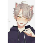 Cat Boy Association