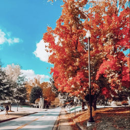✰ ° . ༄🍂 𝓐𝓾𝓽𝓾𝓶𝓷!🍄✰