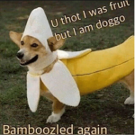 bamboozled