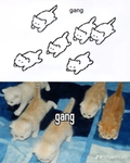 the of the group yes