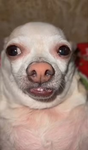 OBVMILAAS TRADING AREA <3