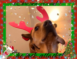 ʚ ThE JaCk AtTaCk’S! ɞ
