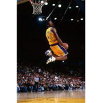 NBA/ WNBA