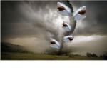 Sharknados