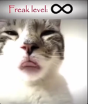 Sixty Seventh