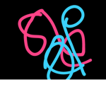 2 2 3 3