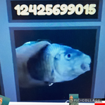 FiShlia_city