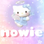 .nowie.