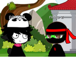 Ninja Z studios