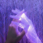 Purple Asethetic Group