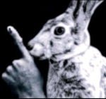 ﾒ WOCK ; U