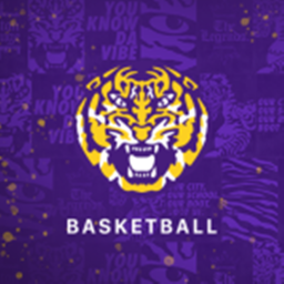 LSU Tigers | Gymnasium