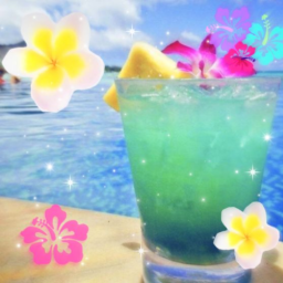 🍧🐚🥝