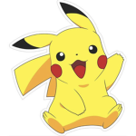 Pokémon fighter