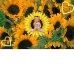 #Sunflower Squad <3