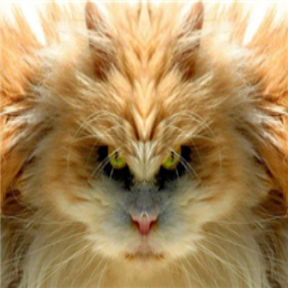 scary cat Roblox decal