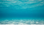 We Worship Water [WWW]