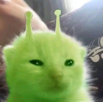 (Insert original name)