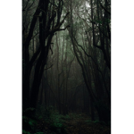Darks_1