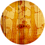 Hidden Door #9