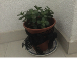 hi leute ich bin tuti
