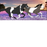 <EagleHeart Stables>