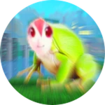 hop hop