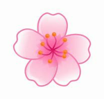 Blossom<3 Studios