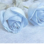 Caitlyn's Blue Suns!