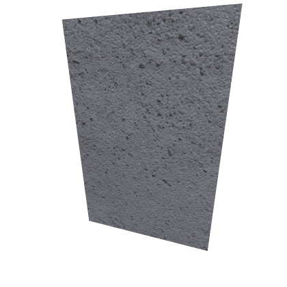 Security Door