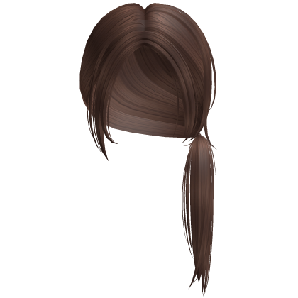 Messy Low Ponytail in Brown