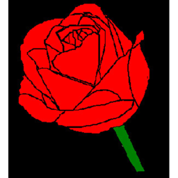 Floral Lace Clothing