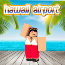 Hawaii Airport ☀️
