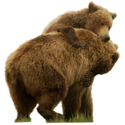 Bears_Rule hangout (BETA)