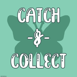 Test Build | 🦋 Catch & Collect