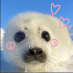 ༘⋆ ᵎᵎ ୨୧