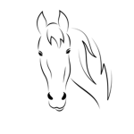 Lightning Horse Riding Academy