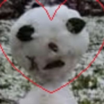 ~WeirdCore~