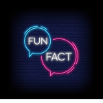 Fun Facts Group