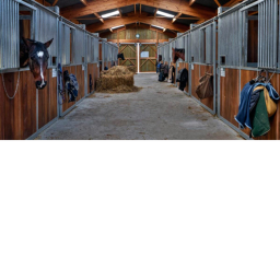 ~*Harmony Stables*~