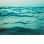 AQUA clan fan group